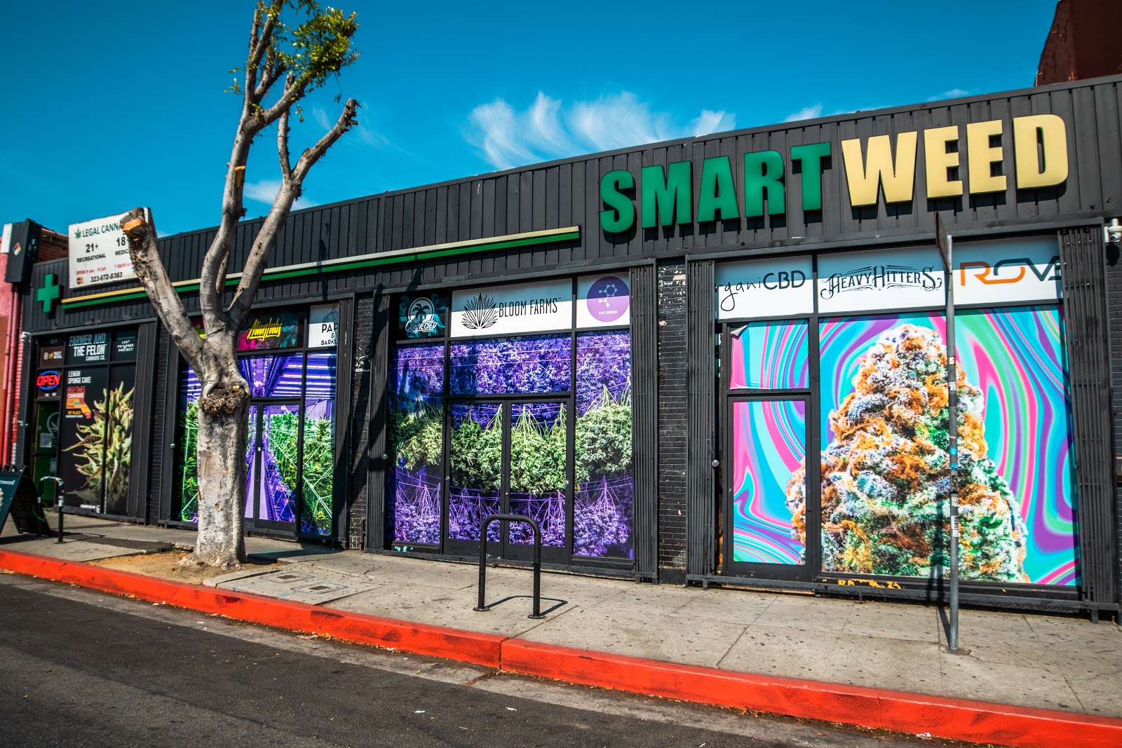 Member Smartweed in Los Angeles CA