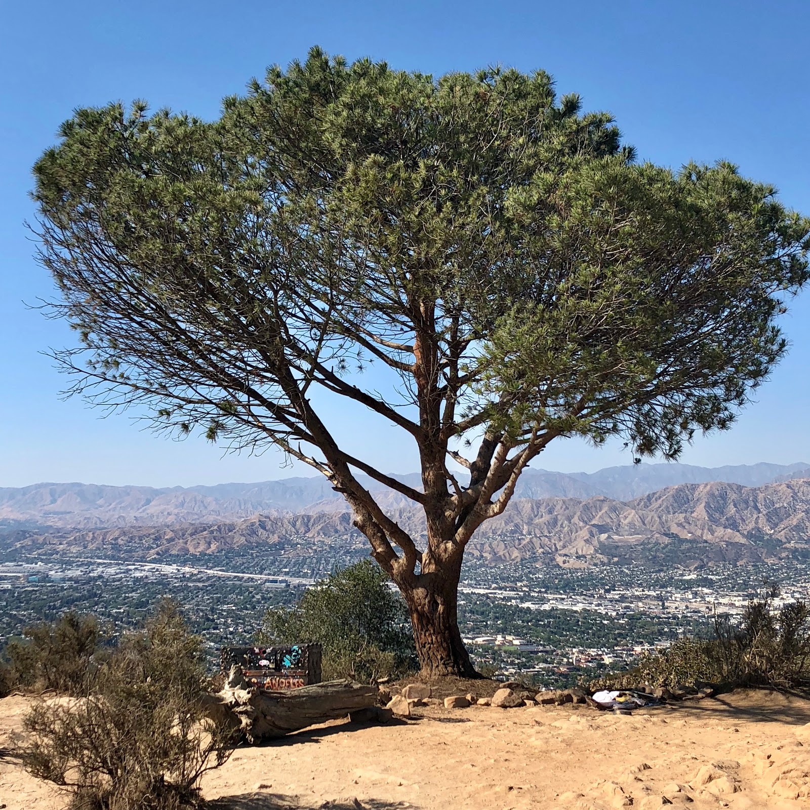 Member Burbank Peak in Los Angeles CA