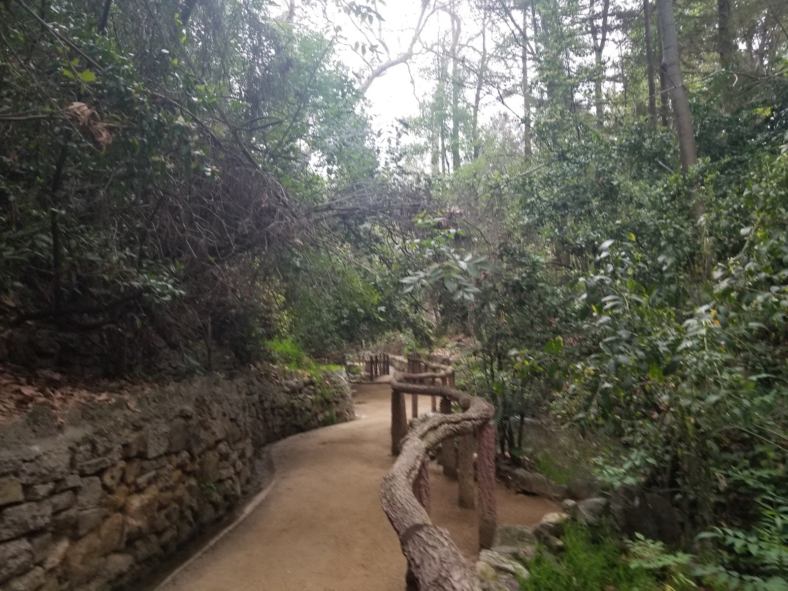 Firebreak Trail to Griffith Observatory