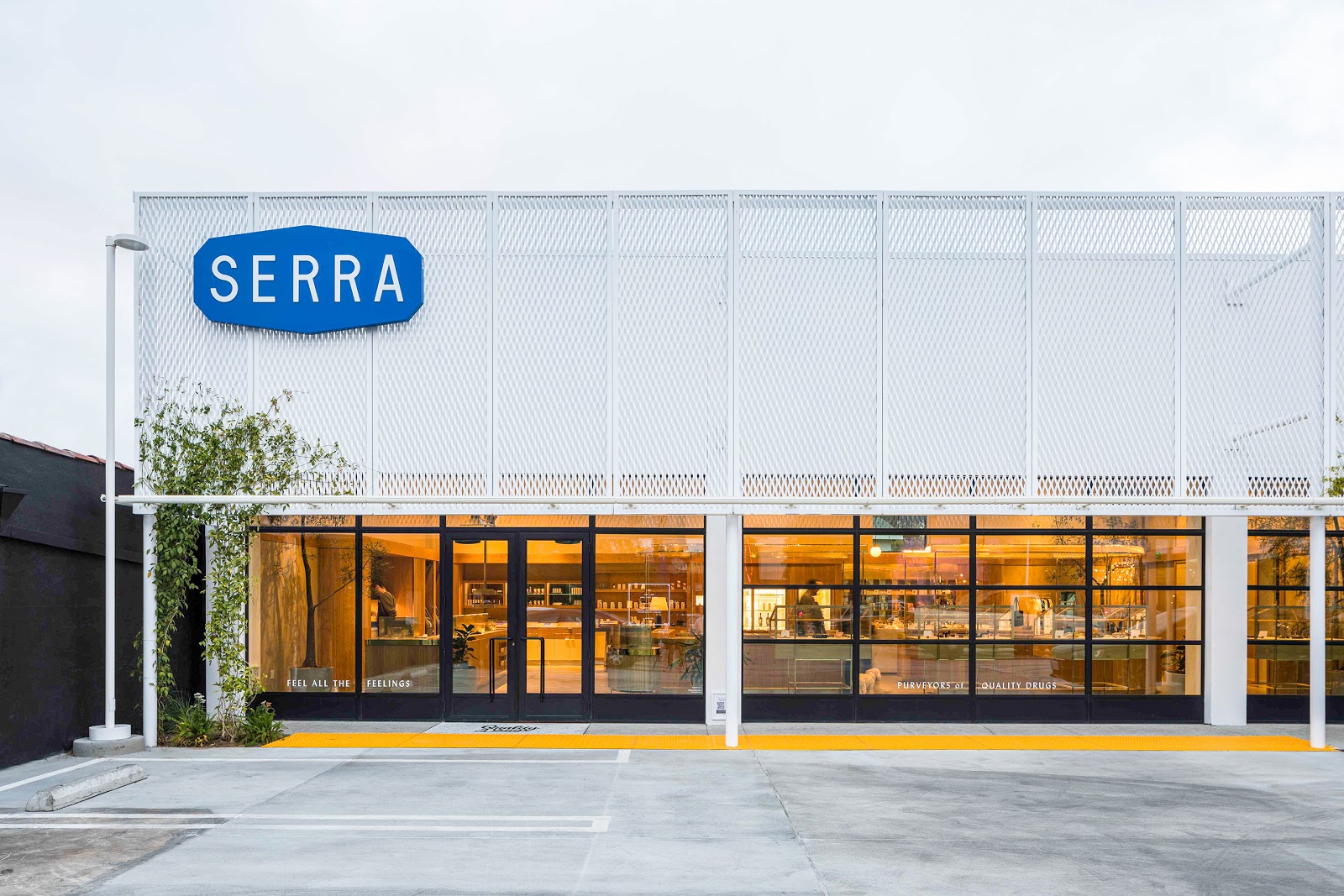 Member Serra Dispensary in Los Angeles CA