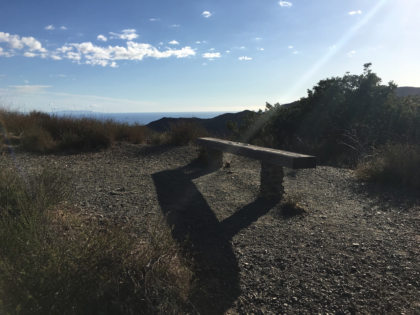 Member Mandeville Trail Bench in Los Angeles CA