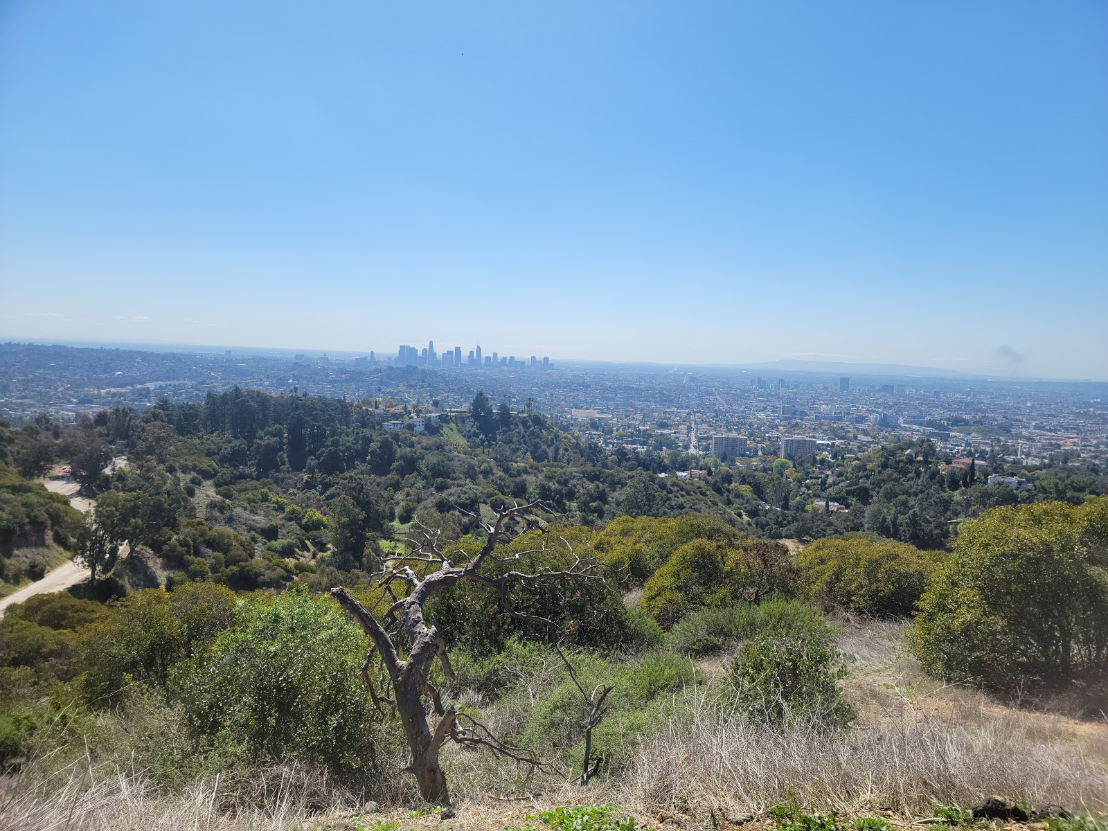 Member Glendale Peak in Los Angeles CA