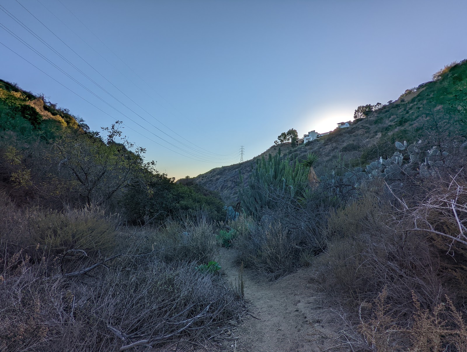 Cactus Canyon Trail