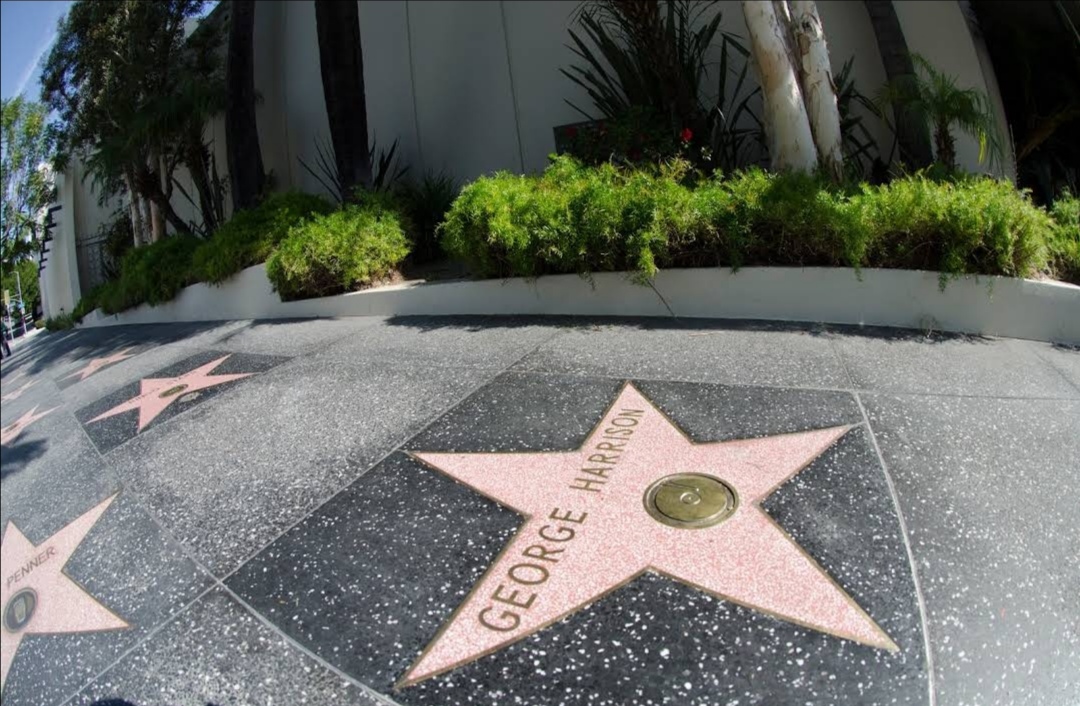 Member Hollywood Walk Of Fame - (Outset - North) in Los Angeles CA