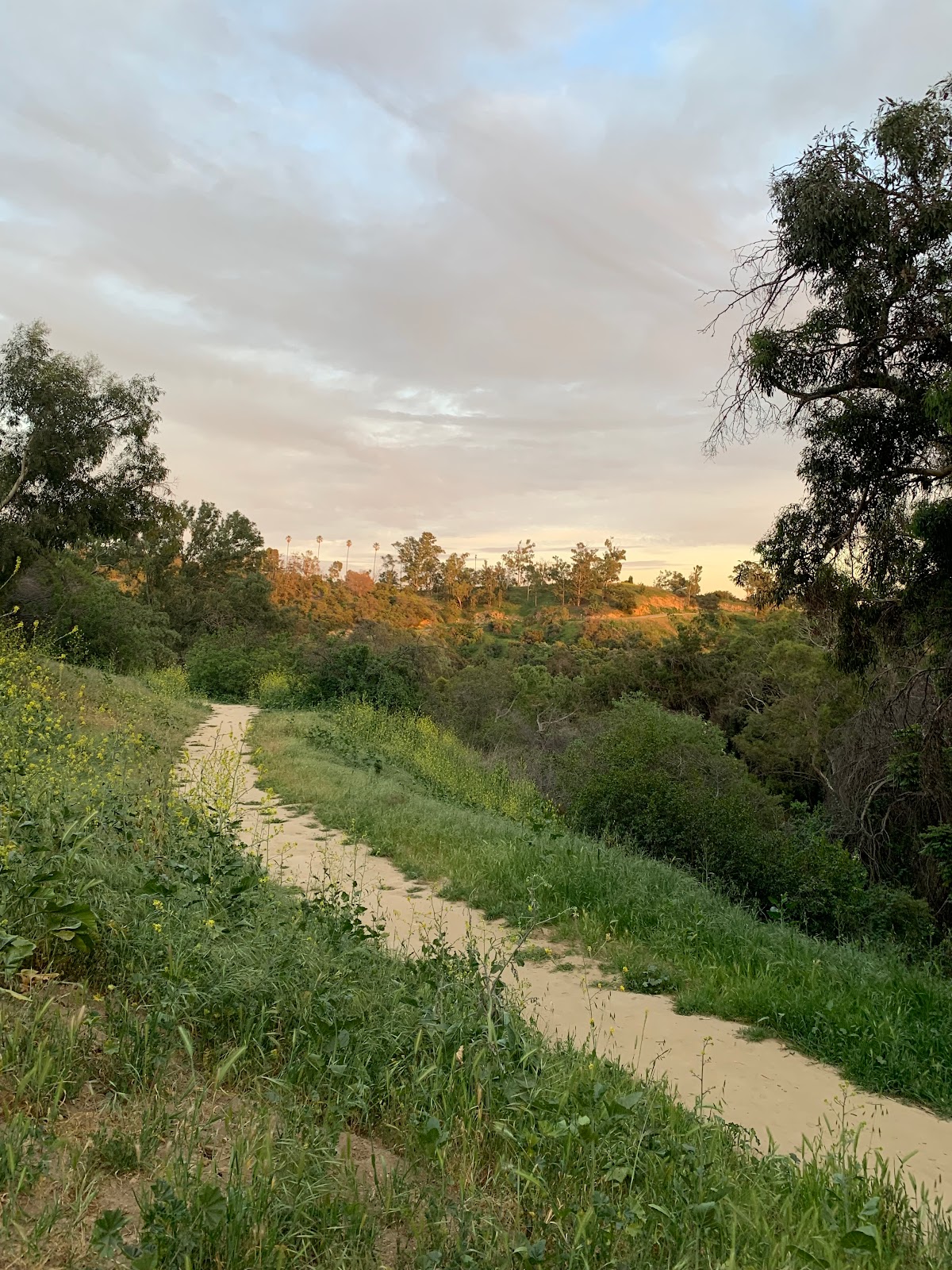 Member Elysian Park Trail in Los Angeles CA