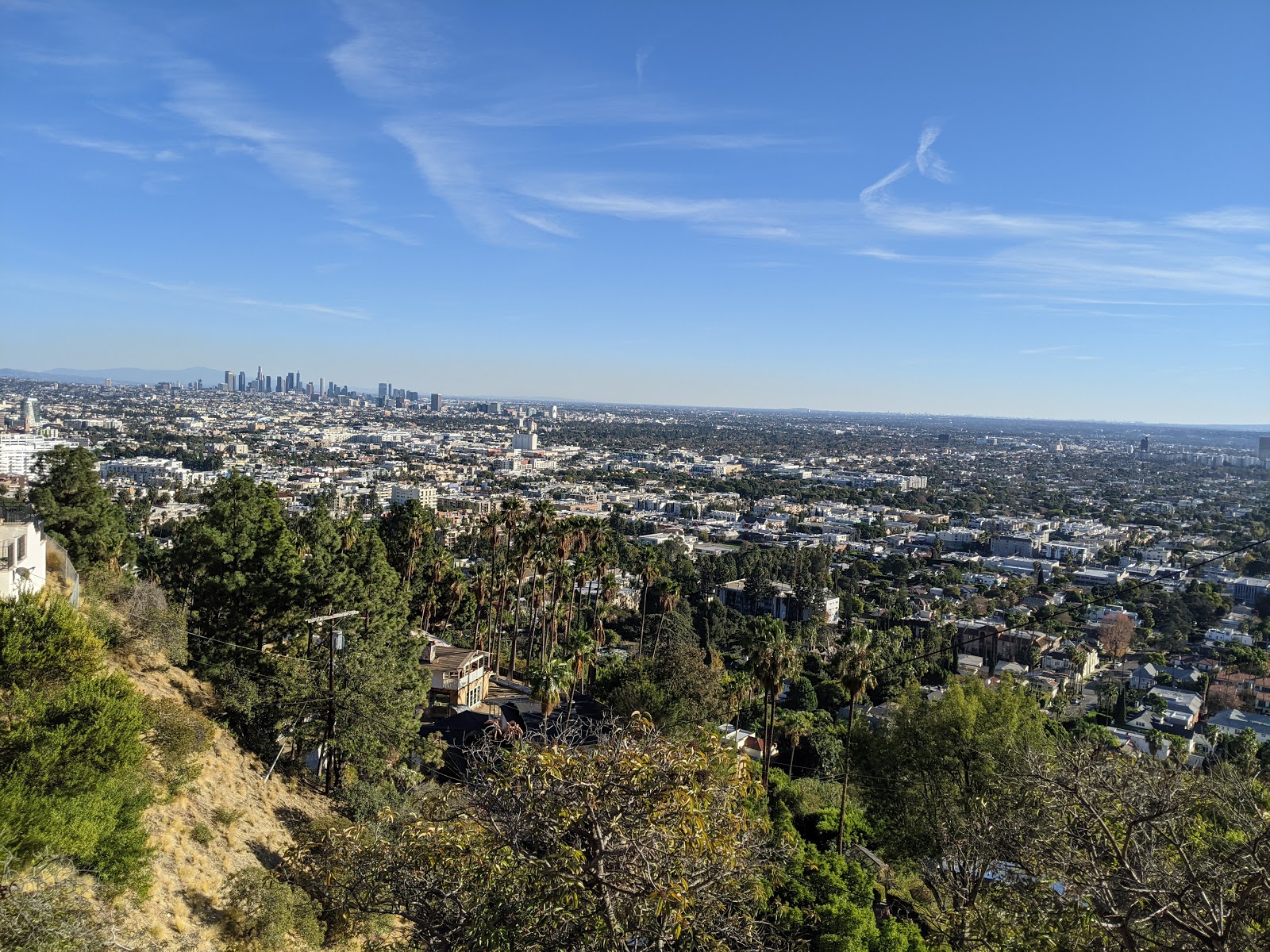 Member Wattles Crest Trail in Los Angeles CA