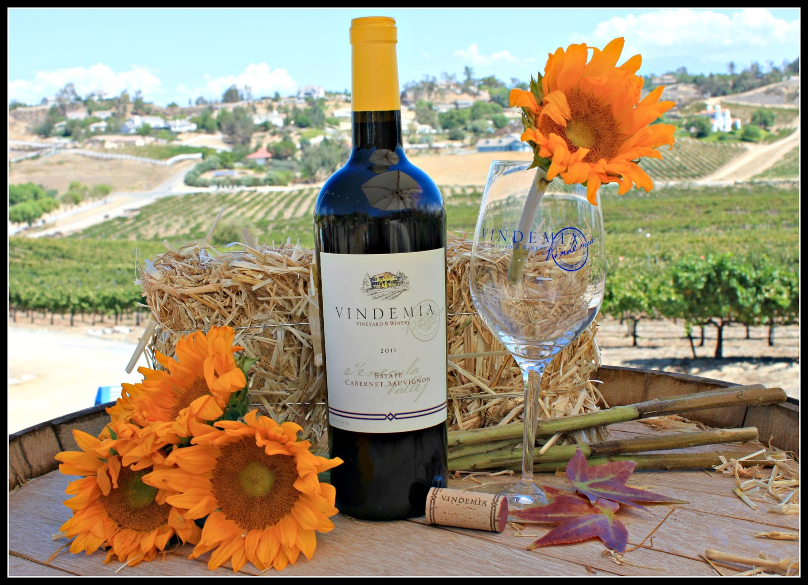 Member Vindemia Vineyard & Winery in Temecula CA